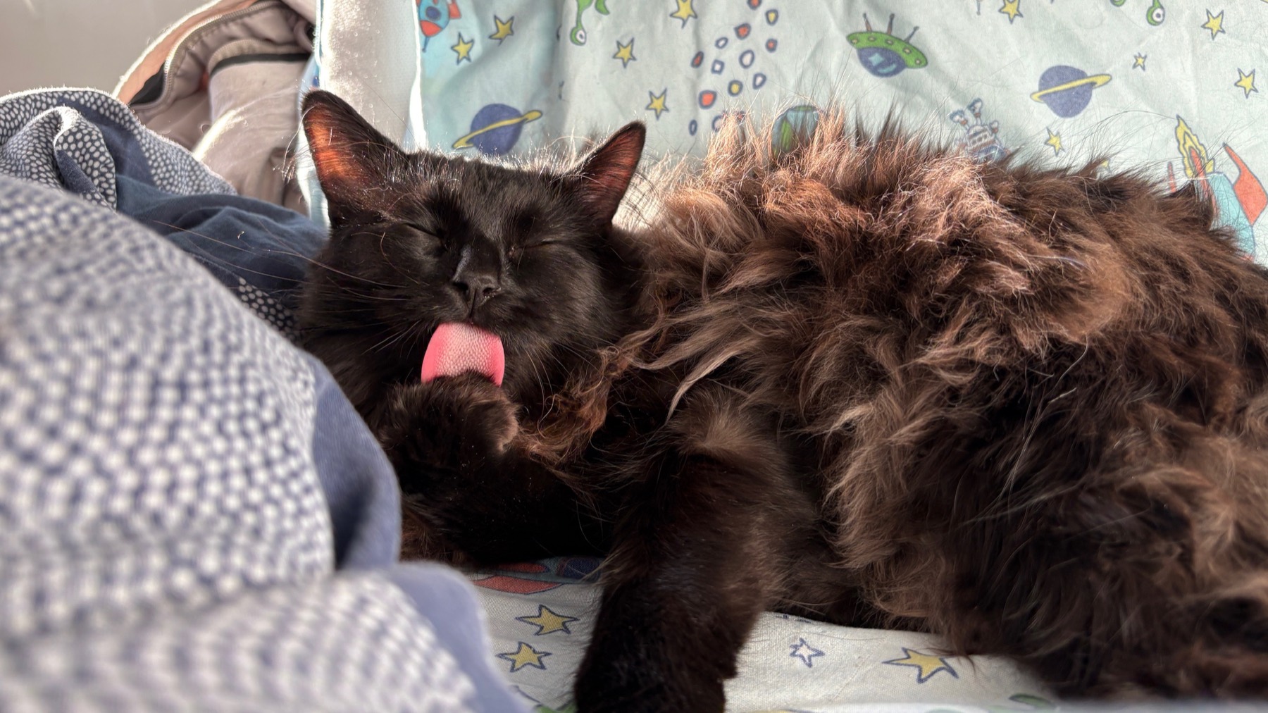 Nike mid-groom on the spaceship sheets, sun-warmed and unbothered