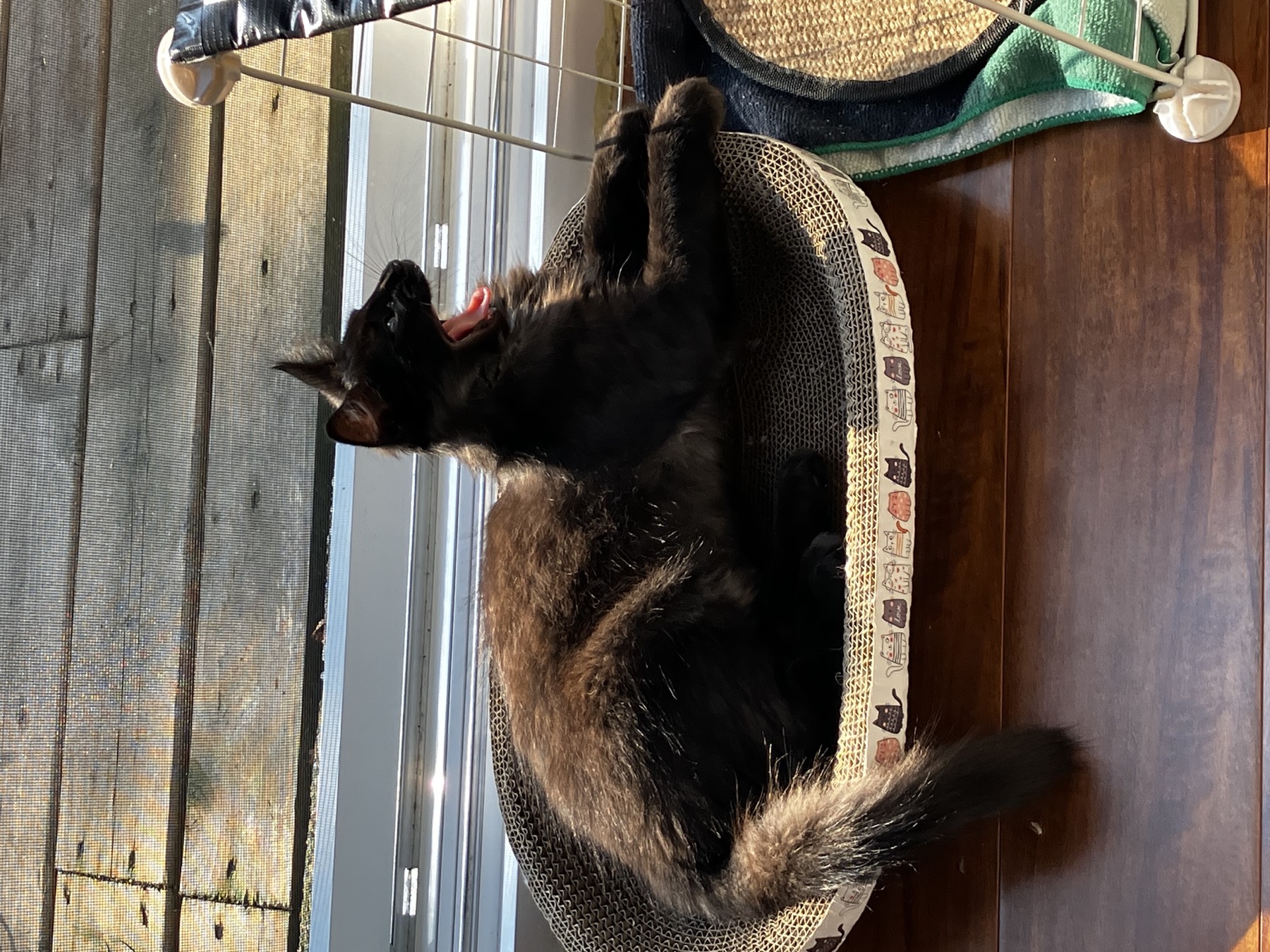 Nike mid-roll with a tongue flash in the sunny scratcher